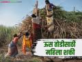 Mahila Ustod Kamgar : कोल्हापूर जिल्ह्यात ऊसतोडीच्या कामात महिला शक्ती अग्रेसर - Marathi News | Mahila Ustod Kamgar : Women power is at the forefront in sugarcane harvesting in Kolhapur district | Latest agriculture News at Lokmat.com
