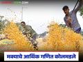 Maize Market : मका उत्पादकांची आर्थिक घडी विस्कटली; मका प्रतवारीच्या नावाखाली 'लूट' वाचा सविस्तर - Marathi News | latest news Maize Market: Maize producers' financial situation is ruined; 'loot' in the name of maize grading Read in detail | Latest agriculture News at Lokmat.com