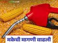 Maka Ethanol : इथेनॉल उत्पादनासाठी मक्याला योग्य दर मिळतो का? पाहूया सविस्तर - Marathi News | Maka Ethanol : Does maize get a fair price for ethanol production? Let's see in detail | Latest agriculture News at Lokmat.com