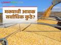 Maize Bajar Bhav : धुळे बाजारात मक्याची सर्वाधिक आवक; काय मिळतोय भाव ते वाचा सविस्तर - Marathi News | Maize Bajar Bhav : Highest arrival of maize in Dhule market | Latest agriculture News at Lokmat.com