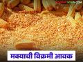 Maize Market : मोर्शी बाजारात मक्याची विक्रमी आवक; एकाच दिवशी १२ हजार क्विंटल वाचा सविस्तर - Marathi News | latest news Maize Market: Record arrival of maize in Morshi market; 12 thousand quintals in a single day Read in detail | Latest agriculture News at Lokmat.com