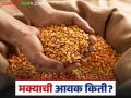 Maize Bajar Bhav : लाल मक्याची बाजारात चलती; काय मिळाला दर ते वाचा सविस्तर - Marathi News | Maize Bazaar Bhav: Red maize is available in the market; Read the price in detail | Latest agriculture News at Lokmat.com