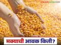 Maize Bajar Bhav : चाळीसगाव बाजारात मक्याची आवक किती; कसा मिळतोय दर ते वाचा सविस्तर - Marathi News | Maize Bazaar Bhav: How much maize is arriving in Chalisgaon market; Read in detail how the price is being obtained | Latest agriculture News at Lokmat.com