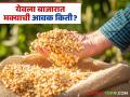 Maize Bajar Bhav : येवला बाजारात मक्याची सर्वाधिक आवक; कसा मिळला दर ते वाचा सविस्तर - Marathi News | Maize Bazaar Bhav: Highest arrival of maize in Yeola market; Read in detail how the price was obtained | Latest agriculture News at Lokmat.com