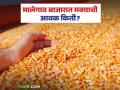 Maize Bajar Bhav : मालेगाव बाजारात मक्याची आवक वाढली; कसा मिळाला दर ते वाचा सविस्तर - Marathi News | Maize Bazaar Bhav: The arrival of maize in Malegaon market has increased; Read in detail how the price was obtained | Latest agriculture News at Lokmat.com