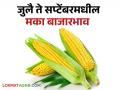 Agriculture News : जुलै ते सप्टेंबर 2024 मधील मका बाजारभाव कसे असतील? जाणून घ्या सविस्तर  - Marathi News | Latest News What will maize market prices be in July to September 2024? Know in detail  | Latest agriculture News at Lokmat.com