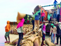 खरेदी केंद्रेच नाहीत : ‘हमीभाव’ वाढ घोषणेपुरतीच - Marathi News | No shopping malls: just to announce a 'guarantee price' increase | Latest kolhapur News at Lokmat.com