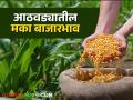 Maka Bajarbhav : मक्याला एमएसपीपेक्षा दर कमी, आठवडाभरात काय बाजारभाव मिळाला?  - Marathi News | Latest News Maka Bajarbhav Maize price than MSP see last week market price | Latest agriculture News at Lokmat.com