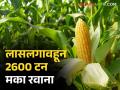 Maka Export : लासलगावहून काश्मीरमधील पोल्ट्रीसाठी 2600 टन मका रवाना, वाचा सविस्तर  - Marathi News | Latest News Maka Export 2600 tonnes of maize from Lasalgaon for poultry in Kashmir, read in detail | Latest agriculture News at Lokmat.com