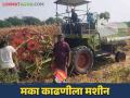 Maka Kadani Yantra : मका काढणीला मजूर मिळेनात? आली अद्यावत मशीन - Marathi News | Maka Kadani Yantra : There is no labor for maize harvesting and now used machine for harvesting | Latest agriculture News at Lokmat.com