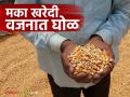 Agriculture News : शेतकऱ्यांनो, मका विक्री करतांना लक्ष ठेवा, वाचा 'या' शेतकऱ्यांसोबत काय घडलं  - Marathi News | Latest News Agriculture News maka vajan ghotala Corn Weight Scam in market yards | Latest agriculture News at Lokmat.com