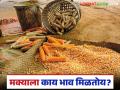 Maka Market : दिवाळीपूर्वी शेतकऱ्यांकडून मका विक्रीची लगबग; सरासरी काय दर मिळतोय?  - Marathi News | Latest News Maize Market Farmers are selling maize before Diwali see details | Latest agriculture News at Lokmat.com