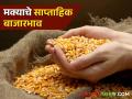 Maka Market : मागील आठवड्यात मक्याची किंमत एमएसपीपेक्षा 'केवळ' इतक्या रुपयांनी अधिक - Marathi News | Latest News Maize Market Todays maka bajarabhav In market yard see details | Latest agriculture News at Lokmat.com