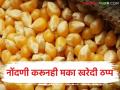 Makka Kharedi : नोंदणी करूनही मका खरेदी ठप्प! करमाडमध्ये शेतकऱ्यांचा ‘रास्ता रोको’चा इशारा - Marathi News | latest news Makka Kharedi: Maize purchase stalled despite registration! Farmers warn of 'roadblocking' in Karmad | Latest agriculture News at Lokmat.com