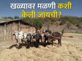 यांत्रिकीकरणामुळे शेतातील पारंपरिक खळे झाले गायब - Marathi News | Due to mechanization, the traditional threshing method in the fields disappeared | Latest agriculture News at Lokmat.com