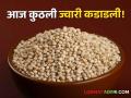 Jawar Bajarbhav : मालदांडी ज्वारी दरात कमालीची घसरण, आज काय भाव मिळाला? वाचा सविस्तर  - Marathi News | Latest News Maldandi jawar price has fallen, check todays market price of jawar | Latest agriculture News at Lokmat.com