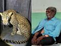 Leopard in Kolhapur: मृत्यूच्या दाढेतून बचावलो; बिबट्याचे दात दंडात आरपार गेले, गंभीर जखमीची व्यथा - Marathi News | Balu Ambaji Humbe who was injured in a leopard attack recounted his thrilling experience | Latest kolhapur News at Lokmat.com