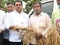शेतकऱ्यांनो खचू नका, पूर्ण मदत करू : विजय वडेट्टीवार - Marathi News | guardian minister vijay wadettiwar visited farmer on loss of crop due to untimely rain | Latest chandrapur News at Lokmat.com