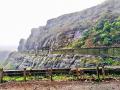 Malshej Ghat: दरड कोसळण्याच्या घटना वारंवार; पर्यटकांना बंदी, माळशेज घाटात शुकशुकाट - Marathi News | Landslides occur frequently Tourists are banned in Malshej Ghat | Latest pune News at Lokmat.com