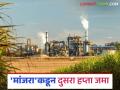Sugarcane Crushing : 'मांजरा' कारखान्यात किती साखर उत्पादन? वाचा सविस्तर - Marathi News | Sugarcane Crushing: How much sugar is produced in the 'Manjara' factory? Read in detail | Latest agriculture News at Lokmat.com
