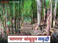 सिंधुदुर्ग जिल्ह्यात या पिकातून शेतीत आली समृद्धी, होतेय ६० कोटी रुपयांची उलाढाल; वाचा सविस्तर - Marathi News | This crop has brought prosperity to agriculture in Sindhudurg district, generating a turnover of Rs 60 crore; Read in detail | Latest agriculture News at Lokmat.com