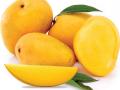 आंबापृथ्वीवरचे अमृततुल्य फळ - Marathi News | Ambrosia fruit on the Amambit | Latest raigad News at Lokmat.com