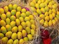 मार्केट यार्डात आंब्याची आवक वाढली - Marathi News | Mangoes increasing in the market yard | Latest pune News at Lokmat.com