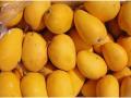नागपुरात आंब्याचे भाव घसरल्याने खवय्यांना दिलासा - Marathi News | Mango prices fall in Nagpur | Latest nagpur News at Lokmat.com