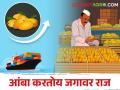 Mango Export परदेशात पोहोचला इतका मेट्रिक टन आंबा - Marathi News | How many metric tons of mango Export form Maharashtra | Latest agriculture News at Lokmat.com