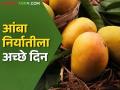 Amba Niryat : यंदा चार हजार टन आंबा निर्यात होणार; निर्यातीसाठी या अत्याधुनिक सुविधा उपलब्ध - Marathi News | Amba Niryat : Four thousand tons of mangoes will be exported this year; These state-of-the-art facilities are available for export | Latest agriculture News at Lokmat.com