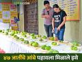 Mango Festival कोल्हापुरातील आंबा महोत्सवात ४७ जातींचे चवदार आंबे - Marathi News | 47 varieties of delicious mangoes at the Mango Festival in Kolhapur | Latest agriculture News at Lokmat.com