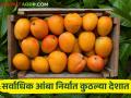 Mango Export: आंब्याला निर्यातीचा गोडवा, आत्तापर्यंत परदेशात २,०५७ मेट्रिक टन निर्यात - Marathi News | Mango Export: Sweetness of mango export, 2,057 MT exported abroad so far | Latest agriculture News at Lokmat.com