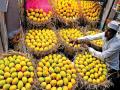 पुणे : आंब्याला मागणी वाढली; इतर फळांची मागणी घटली - Marathi News | demand for mango increased demand for other fruits declined in market yard | Latest pune News at Lokmat.com