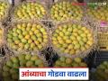 मुंबई बाजार समितीमध्ये प्रतिदिन सरासरी १०० टन आंब्याची आवक; कोणत्या आंब्याला किती दर? - Marathi News | An average of 100 tons of mangoes arrive daily in Mumbai Market Committee; What is the price of each mango? | Latest agriculture News at Lokmat.com