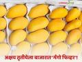 Akshaya Tritiya Mango Market : आंब्यांनी भरली बाजारपेठ; हापूसपेक्षा 'या' आंब्याला जास्त मागणी! - Marathi News | | Latest agriculture News at Lokmat.com