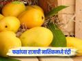 Nashik Amba Market : नाशिकच्या बाजारपेठेत फळांचा राजा आंबा दाखल, काय भाव मिळतोय?  - Marathi News | Latest News Nashik amba Market Mangoes arrive in Nashik market, see market price | Latest agriculture News at Lokmat.com