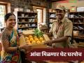 पोस्टाची आंबा पार्सल सेवा; रत्नागिरीचा हापूस आता बागेतून थेट घरपोच डिलिव्हरी होणार - Marathi News | Post office's mango parcel service; Ratnagiri's Hapus will now be delivered directly from the orchard to your home | Latest agriculture News at Lokmat.com