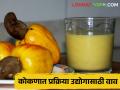 कोकणी मेव्यावरील प्रक्रिया उद्योग अधिकच्या उत्पन्नाची हमी - Marathi News | Processing industry on Konkani fruits ensures more income | Latest agriculture News at Lokmat.com