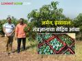 जर्मन, इस्रायल तंत्रज्ञानाचा वापर करत सेंद्रिय आंबा उत्पादन; हसनाबादेतील शेतकऱ्याची प्रेरणादायी यशकथा - Marathi News | Organic mango production using German, Israeli technology; An inspiring success story of a farmer from Hasanabad | Latest agriculture News at Lokmat.com