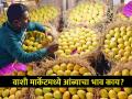 मुंबईकरांकडून वर्षाला ५०० कोटींचे आंबे फस्त! वाशी मार्केटमध्ये दररोज १८०० टन आवक, काय आहेत दर? - Marathi News | | Latest mumbai News at Lokmat.com