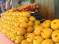 Alphonso Mango: पुण्यात 'फळांचा राजा' खातोय भाव; जाणून घ्या आंब्यांचे दर...! - Marathi News | King of fruits mango is eating in Pune Know the price of mangoes | Latest pune News at Lokmat.com