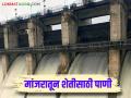 Manjara Dam : कोरड्या पडलेल्या बॅरेजेसमध्ये मांजरा प्रकल्पातून उन्हाळी पिकांना सोडले पाणी - Marathi News | Manjara Dam: Water released from Manjara project for summer crops in dry barrages | Latest agriculture News at Lokmat.com