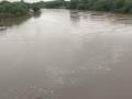 मांजरा नदीला पूर, पाणी लगतच्या शेतात घुसले ! - Marathi News | flood in Manjara river, water seeps into nearby fields! | Latest dharashiv News at Lokmat.com