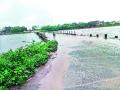 मांजरी पूल पाण्याखाली ? - Marathi News | Cats pool under water? | Latest pune News at Lokmat.com
