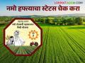 Namo Shetkari Hafta : तुमचा नमो शेतकरी योजनेचा हफ्ता येणार कि नाही, या सोप्या स्टेपद्वारे तपासा  - Marathi News | Latest News Check your Namo Shetkari Yojana payment will arrive or not by following these simple steps. | Latest agriculture News at Lokmat.com