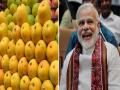 पंतप्रधान नरेंद्र मोदी चाखणार कोकणचा आंबा; दिल्लीत भरणार अस्सल हापूस आंबा महोत्सव - Marathi News | PM Narendra Modi will taste Konkan mangoes; Authentic Hapus Mango Festival to be held in Delhi by MP Ravindra Waikar | Latest mumbai News at Lokmat.com