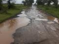 मानोरा तालुक्यातील ग्रामीण भागातील रस्त्याची चाळणी - Marathi News | rural road in Manora taluka in bad conditation | Latest vashim News at Lokmat.com