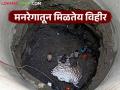 रोजगार हमी योजनेतून मिळतेय विहीर; किती अनुदान अन् कसा मिळतो लाभ? वाचा सविस्तर - Marathi News | Well Vihir is getting through the employment guarantee scheme; How much subsidy and how to get the benefit? Read in detail | Latest agriculture News at Lokmat.com