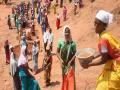 मनरेगात महाराष्ट्रात एससी कुटुंबांना फक्त ९.८७ टक्के रोजगार - Marathi News |  In MGNREGA, only 9.87 per cent employment is available to SC families in Maharashtra | Latest national News at Lokmat.com
