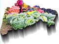 बाजार समित्या बरखास्त केल्यास राज्यातील व्यवस्था कोलमडणार - Marathi News | If the market committees are sacked, the state system will collapse | Latest maharashtra News at Lokmat.com